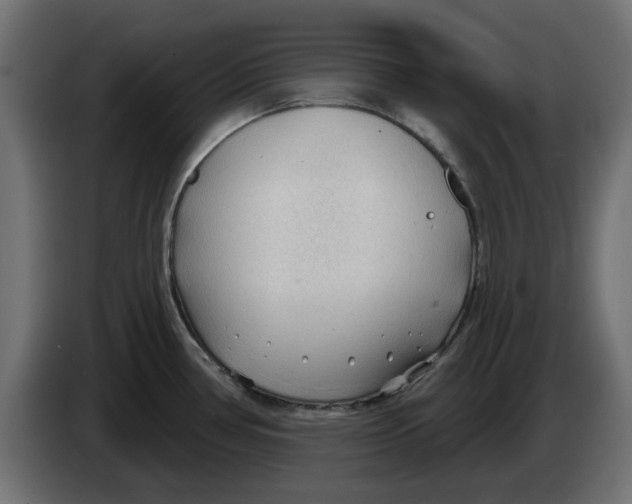 X0000083551386200703021638