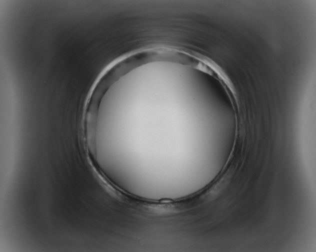 X0000083551388200703021638