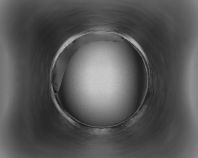 X0000083551389200703021638