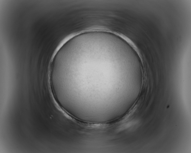X0000083551390200703021638