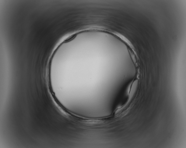 X0000083551391200703021638
