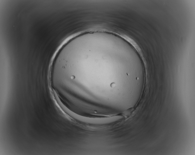 X0000083551392200703021638