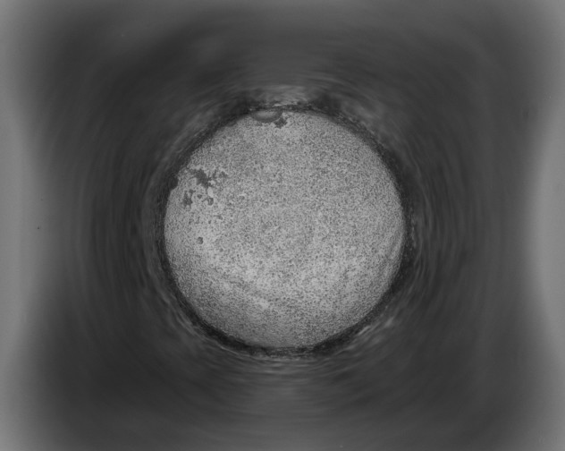 X0000083551393200703021637