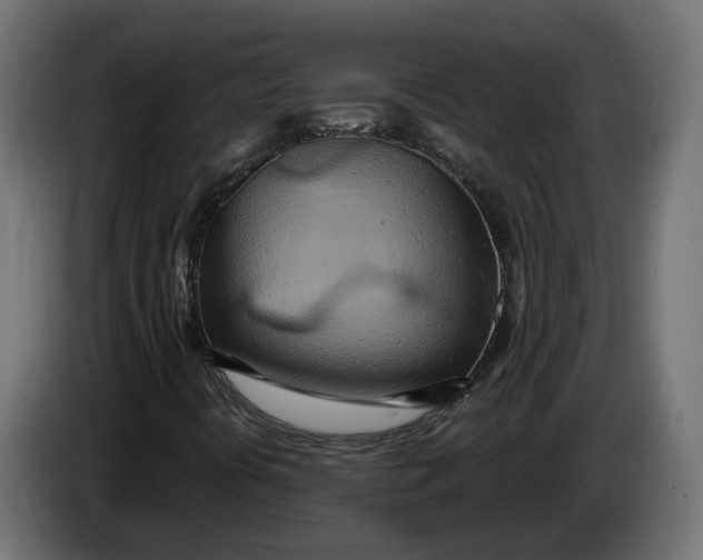 X0000083551394200703021637