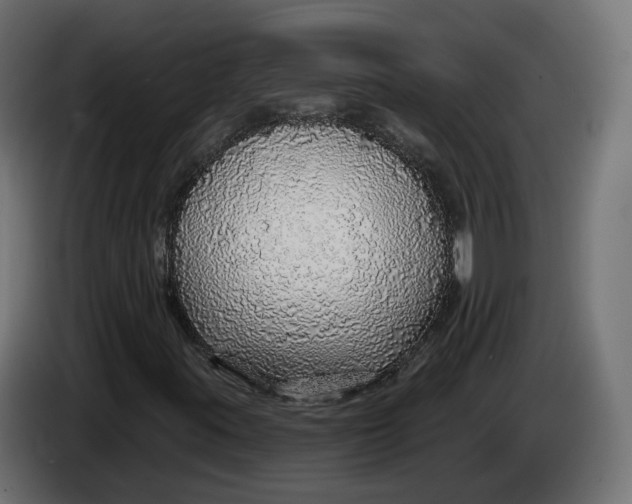 X0000083551395200703021637
