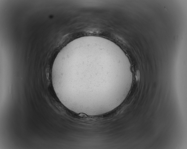 X0000083551396200703021637