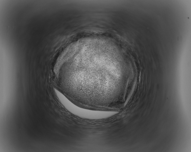 X0000083551397200703021637
