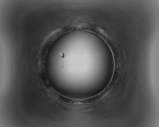 X0000083551398200703021637