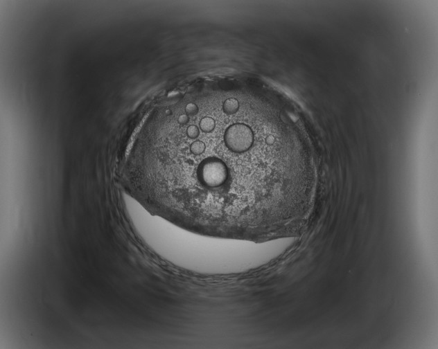 X0000083551399200703021637