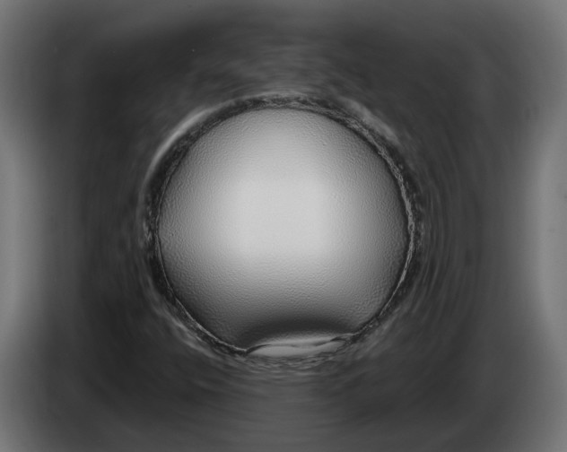 X0000083551400200703021637