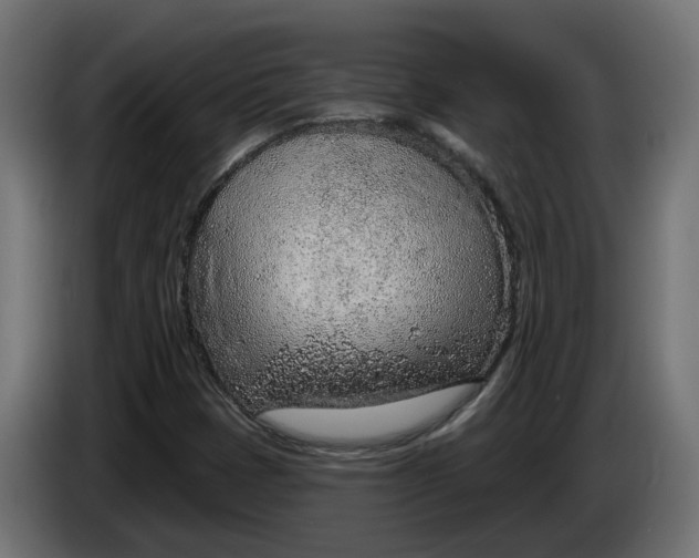 X0000083551401200703021637