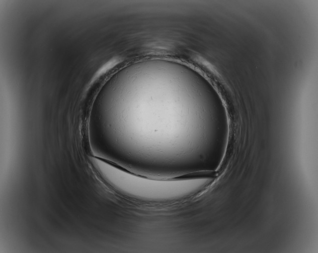 X0000083551402200703021637