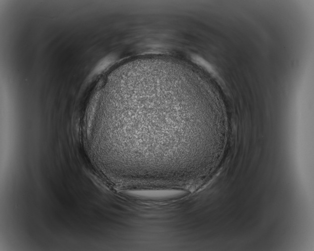X0000083551403200703021637