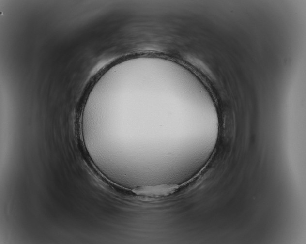 X0000083551404200703021638