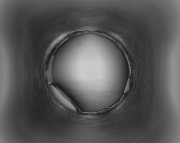 X0000083551406200703021638
