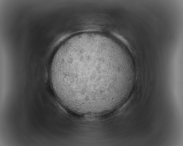 X0000083551407200703021638