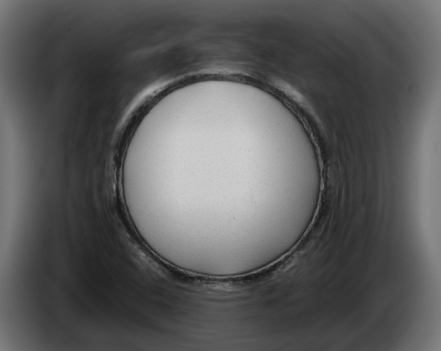 X0000083551408200703021638