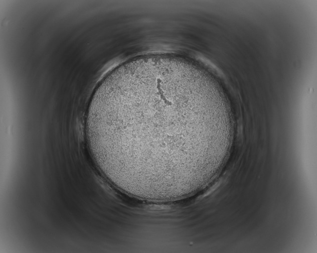 X0000083551409200703021638