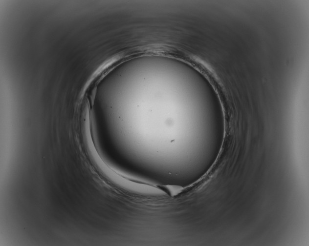 X0000083551410200703021638