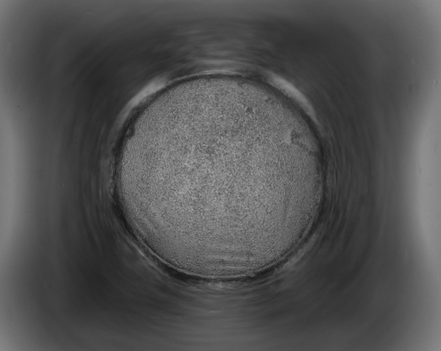 X0000083551411200703021638