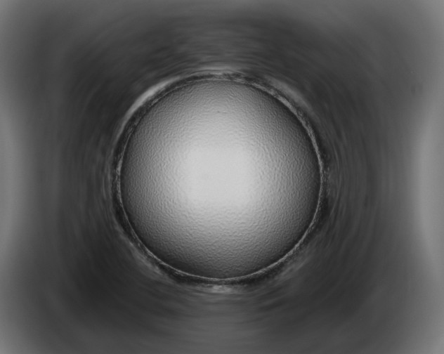 X0000083551412200703021638
