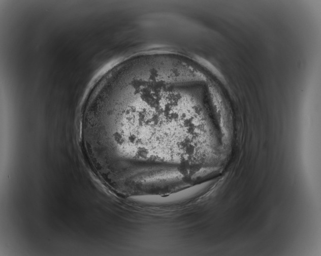X0000083551413200703021638
