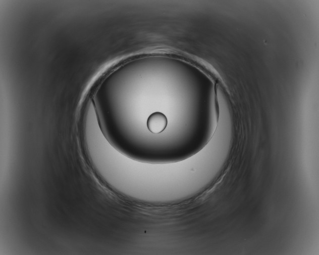 X0000083551414200703021638