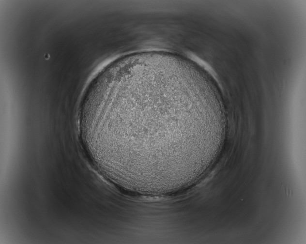 X0000083551415200703021638