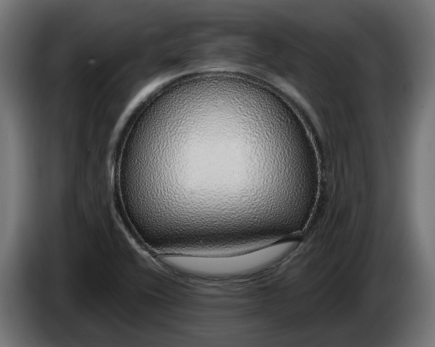 X0000083551416200703021638