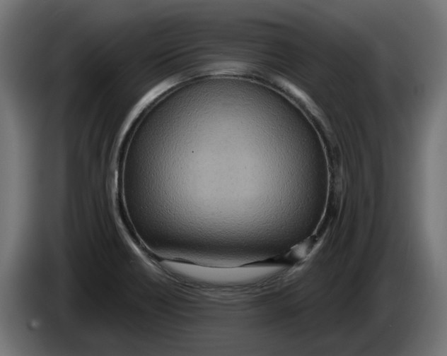 X0000083551418200703021638