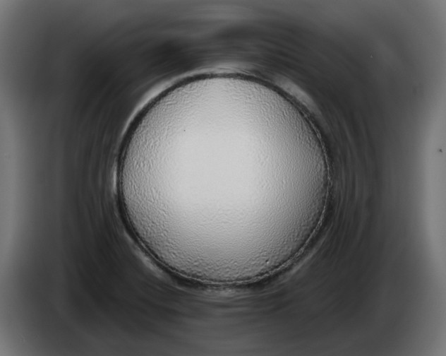 X0000083551420200703021638