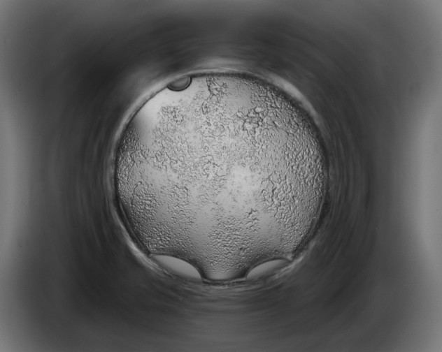 X0000083551421200703021638