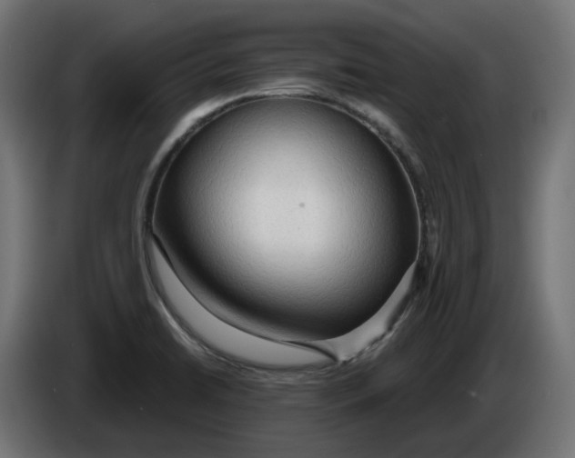 X0000083551422200703021638