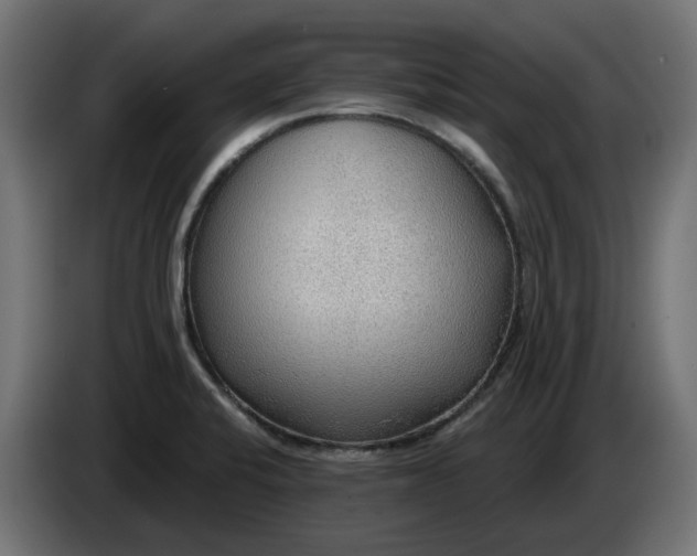 X0000083551424200703021638