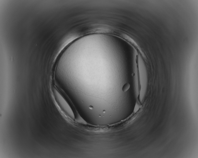X0000083551426200703021638
