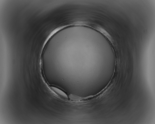 X0000083551428200703021638