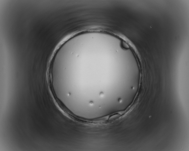 X0000083551429200703021638