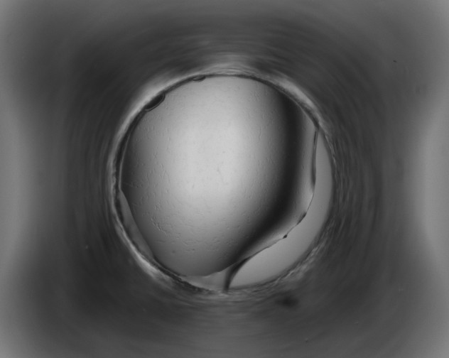 X0000083551430200703021638