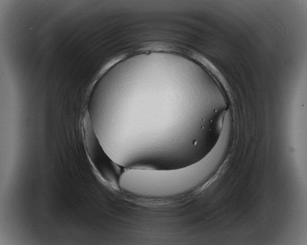 X0000083551433200703021638