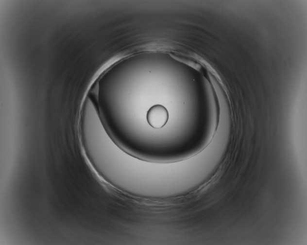 X0000083551434200703021638