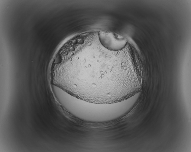 X0000083551435200703021638