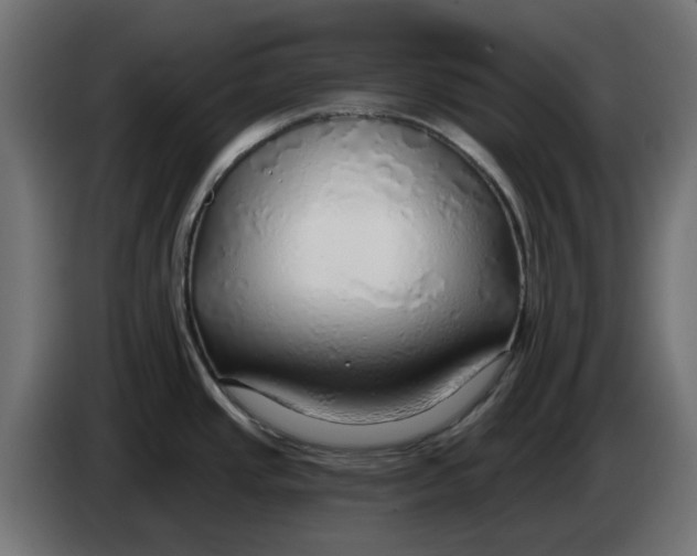 X0000083551437200703021638