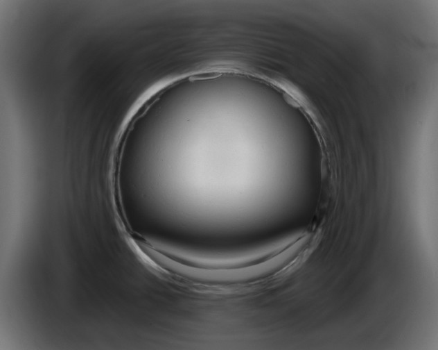 X0000083551438200703021638