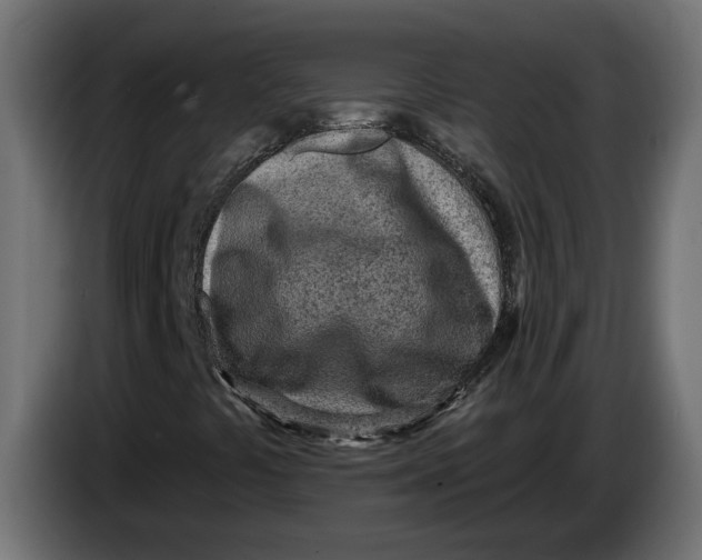 X0000083551441200703021637