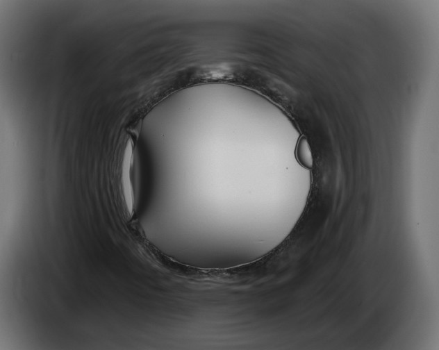 X0000083551442200703021637