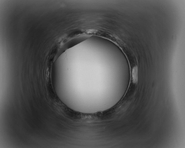 X0000083551443200703021637