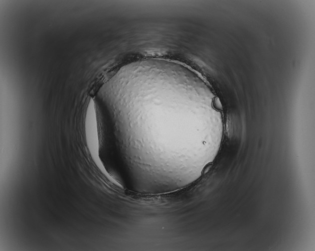 X0000083551444200703021637