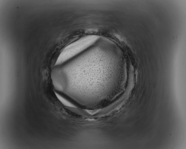 X0000083551445200703021637