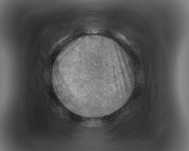X0000083551446200703021637
