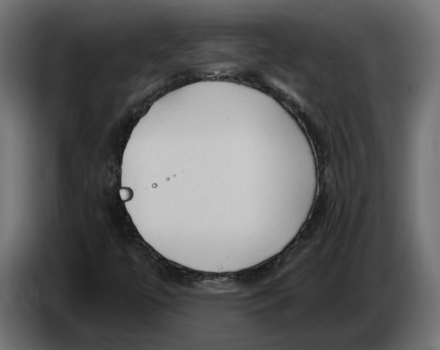 X0000083551447200703021637